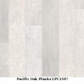 Pacific Oak